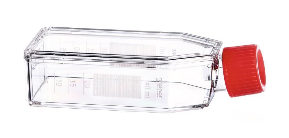 Cell culture flasks, 25 cm², 50 ml, 5-10 ml 200 pcs