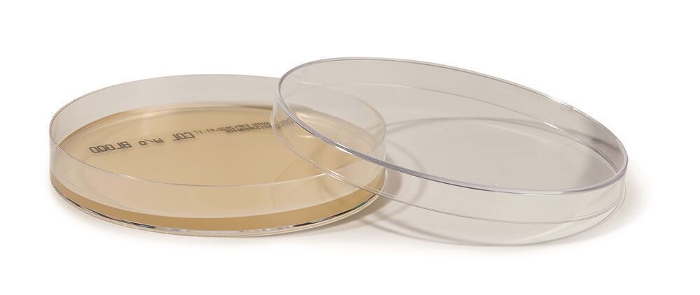 ROTI®Plate90 Columbia