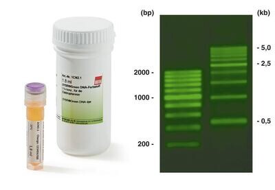 SYBR® Green DNA dye, 1.8 ml, 1 x 1.8 ml
