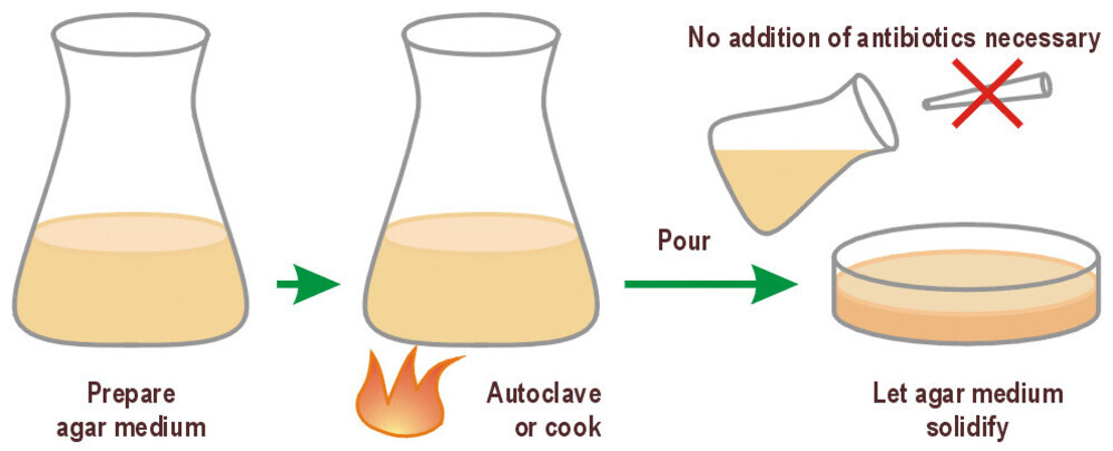 LB-Agar (Lennox) / Kana50, 1 kg