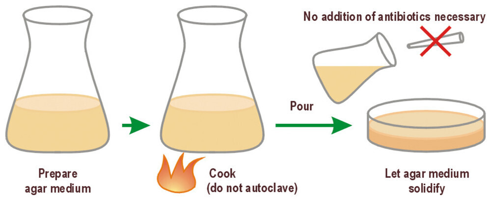 LB-Agar (Lennox) / Amp100, 1 kg