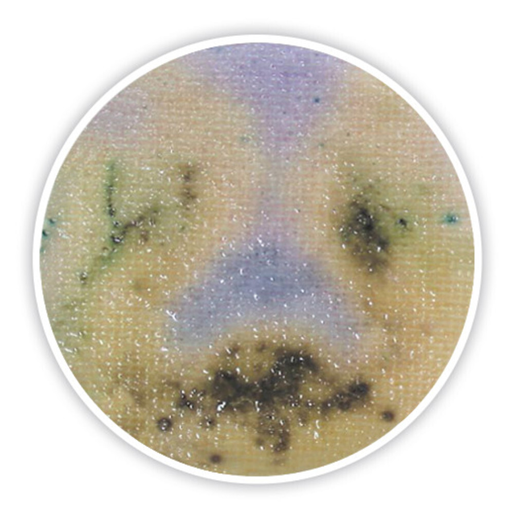 CompactDry SL, 240 stuks