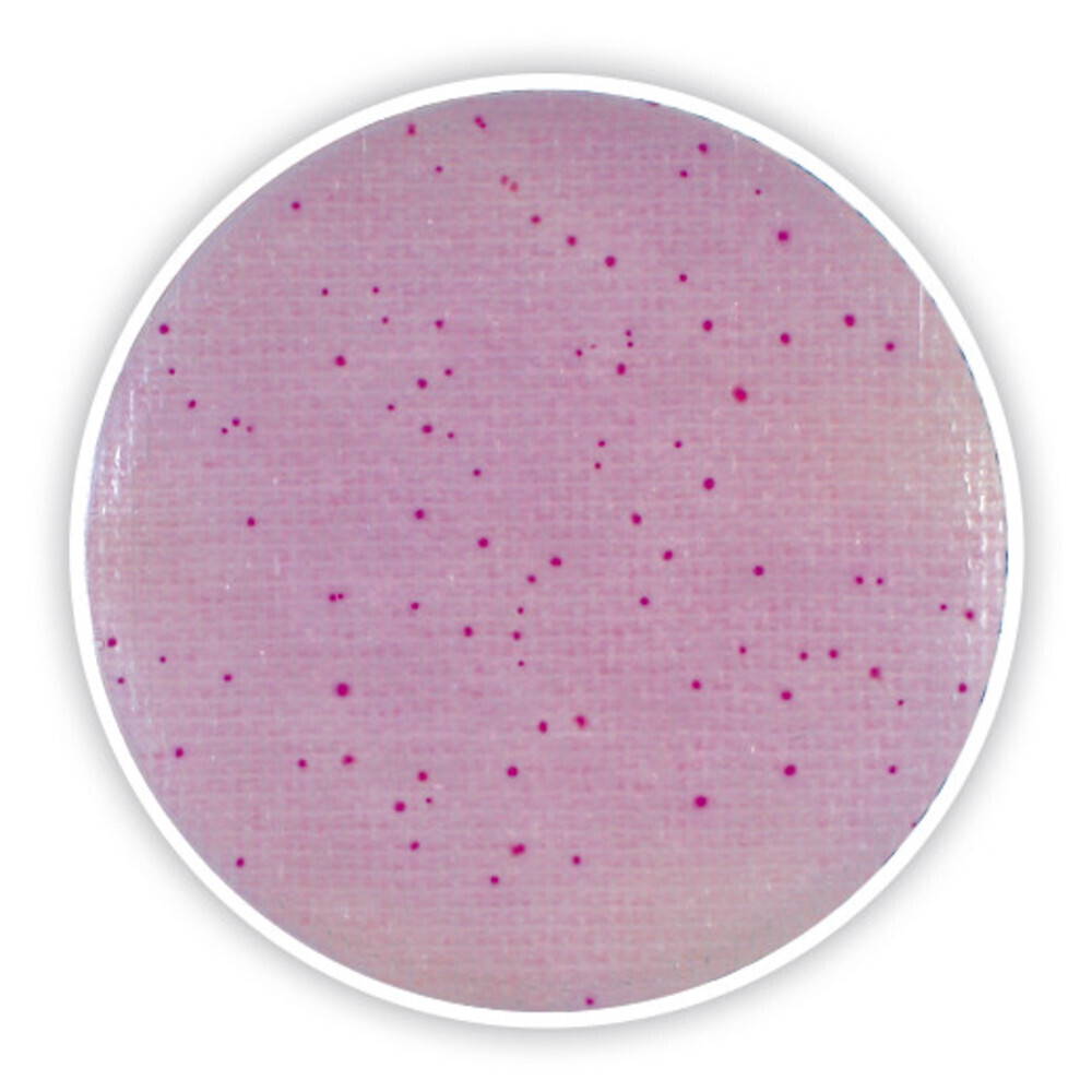 CompactDry ETB, 240 stuks