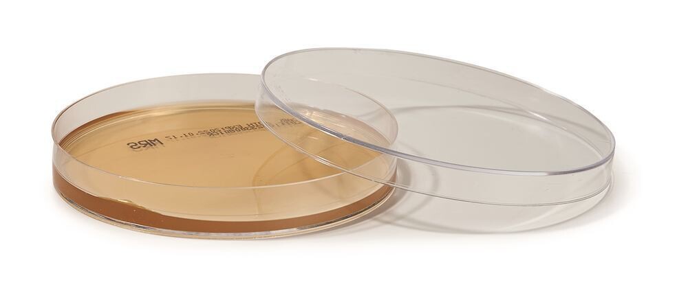 ROTI®Plate90 MRS