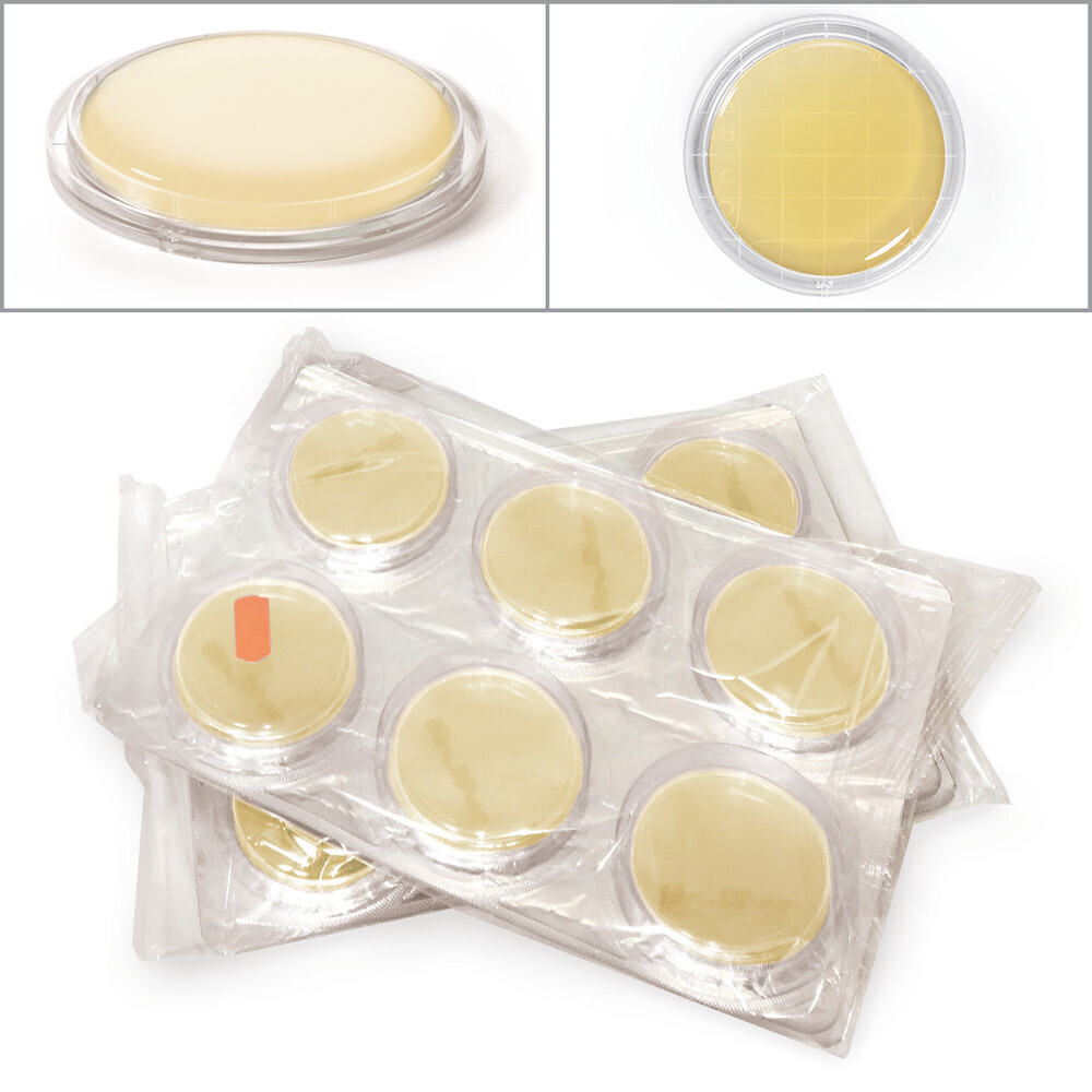 ROTI®ContiPlate TSA