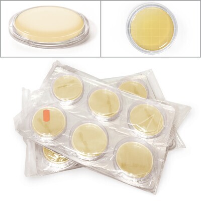 ROTI®ContiPlate TSA