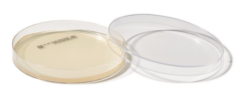 ROTI®Plate90 ESB