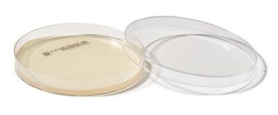 ROTI®Plate90 ESB