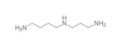 Spermidine, 2,5 g