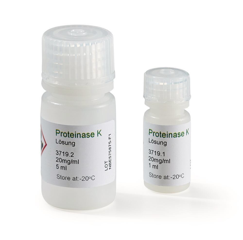 Proteinasi K - Soluzione, 1 ml