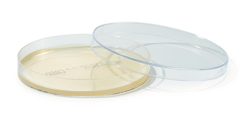 ROTI®Plate90 CASO