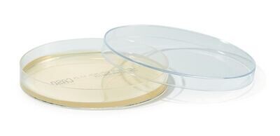 ROTI®Plaque90 CASO