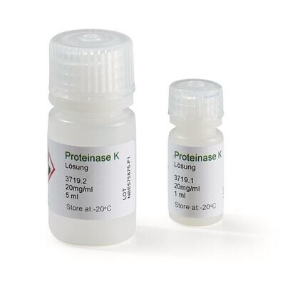 Protéinase K - Solution, 5 ml