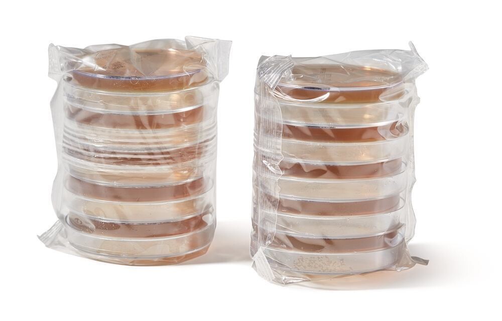ROTI®Aquatest Plate BEA