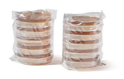 ROTI®Aquatest Plaque BEA