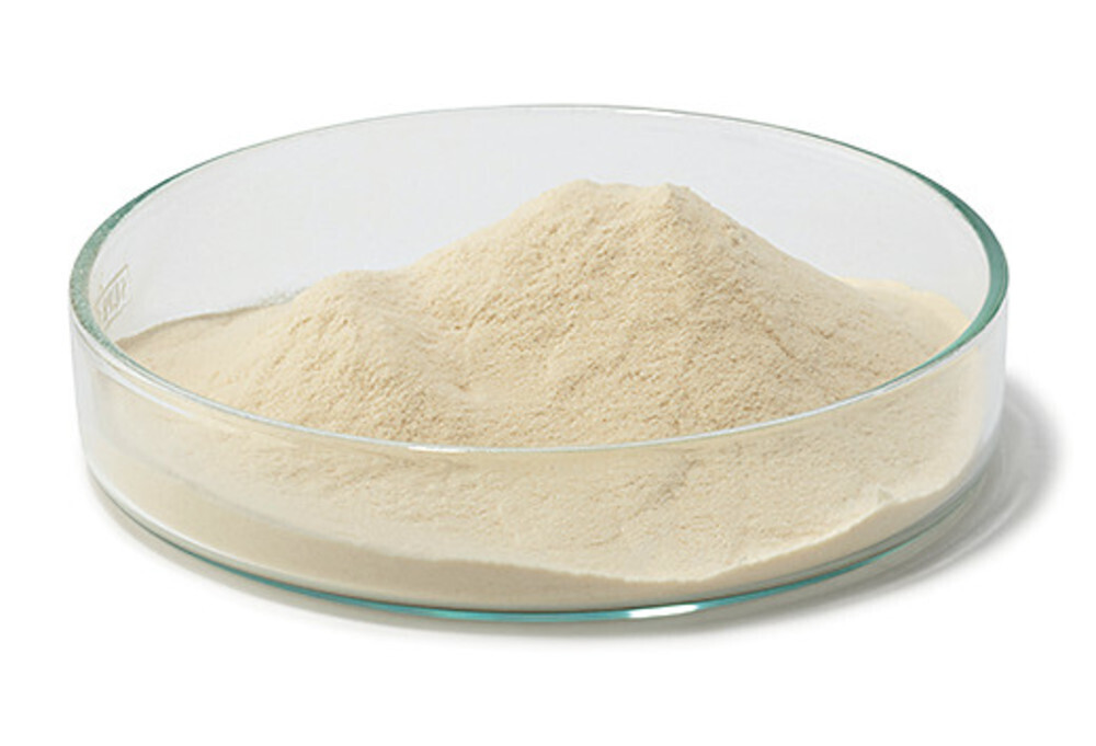 Trypton/Pepton ohne Kasein, 1 kg