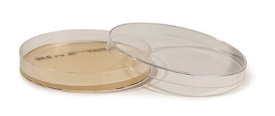 ROTI®Plate90 Columbia