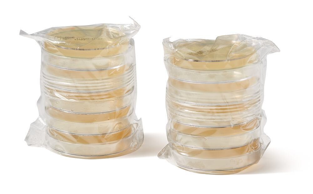 ROTI®Aquatest Plate TSC
