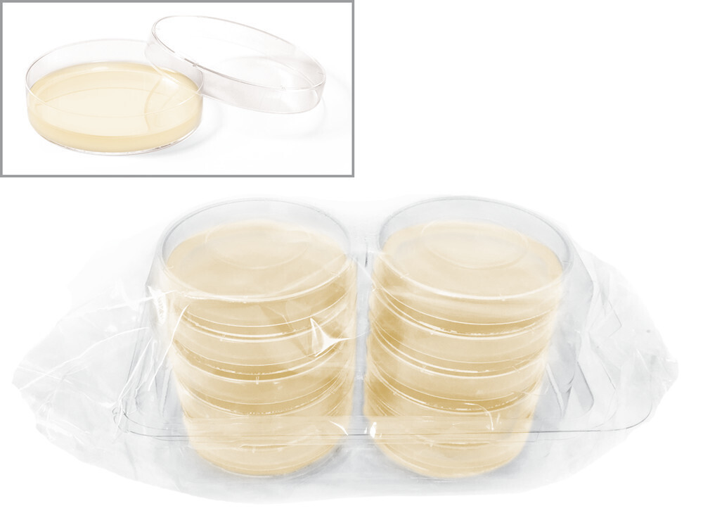 ROTI®Aquatest Plate PCA
