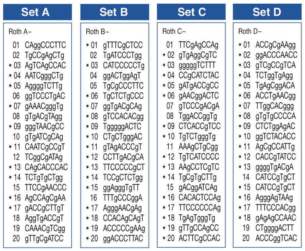 ROTH Random-Primer set A