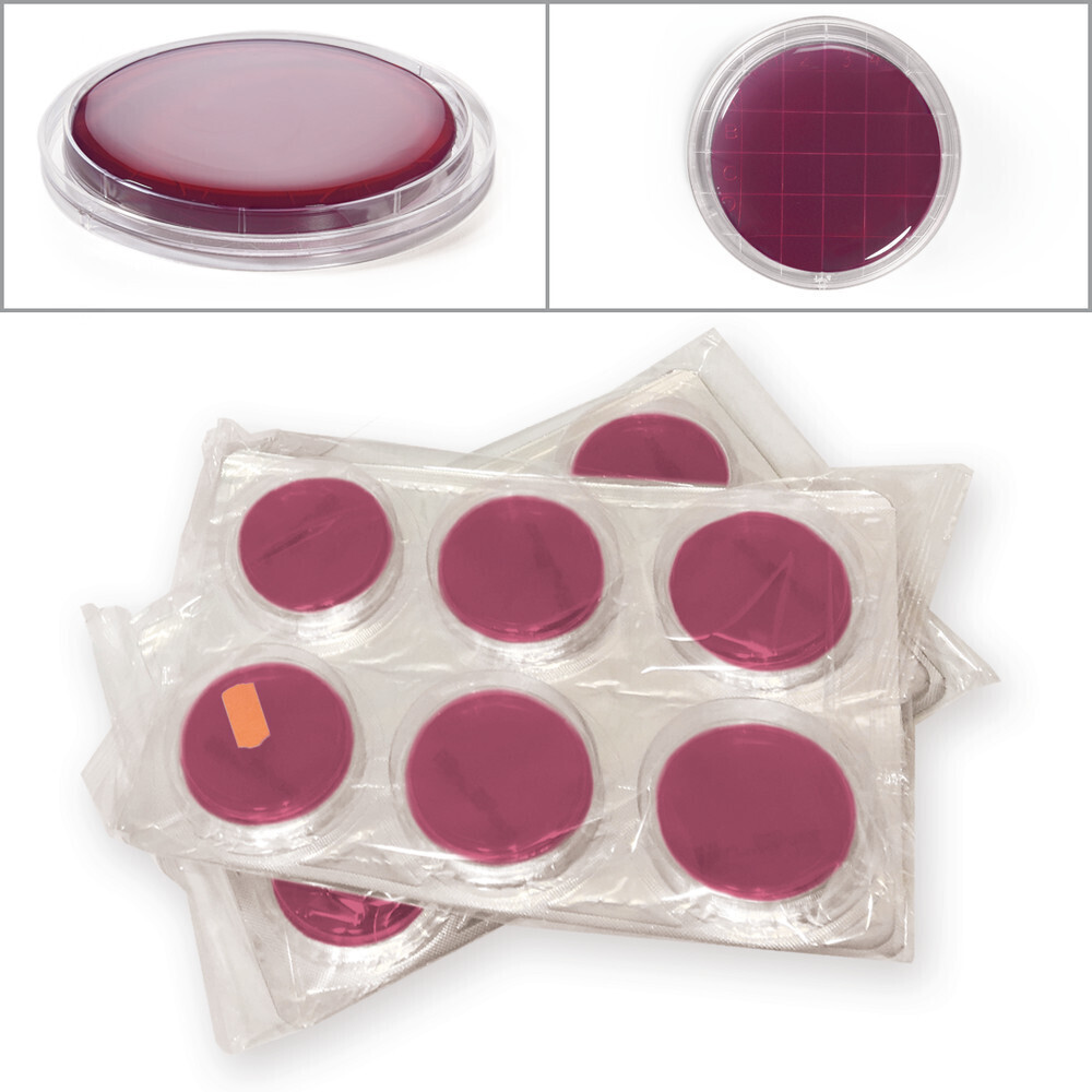 ROTI®ContiPlate VRBD