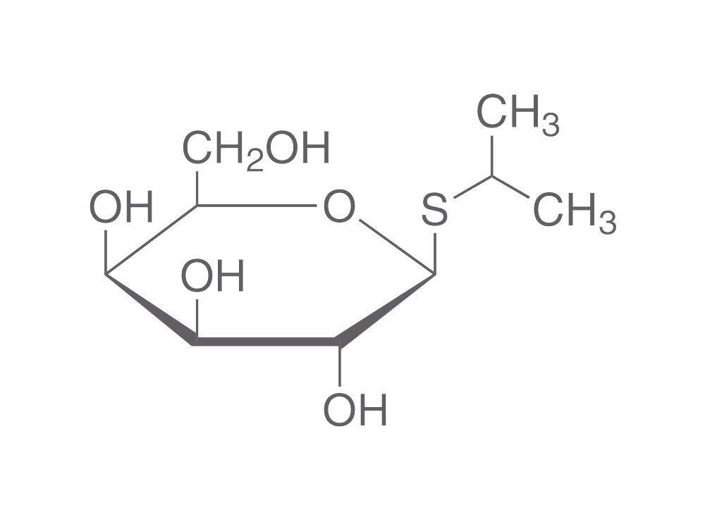 IPTG, 100 g