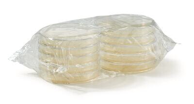ROTI®Plate90 TSC