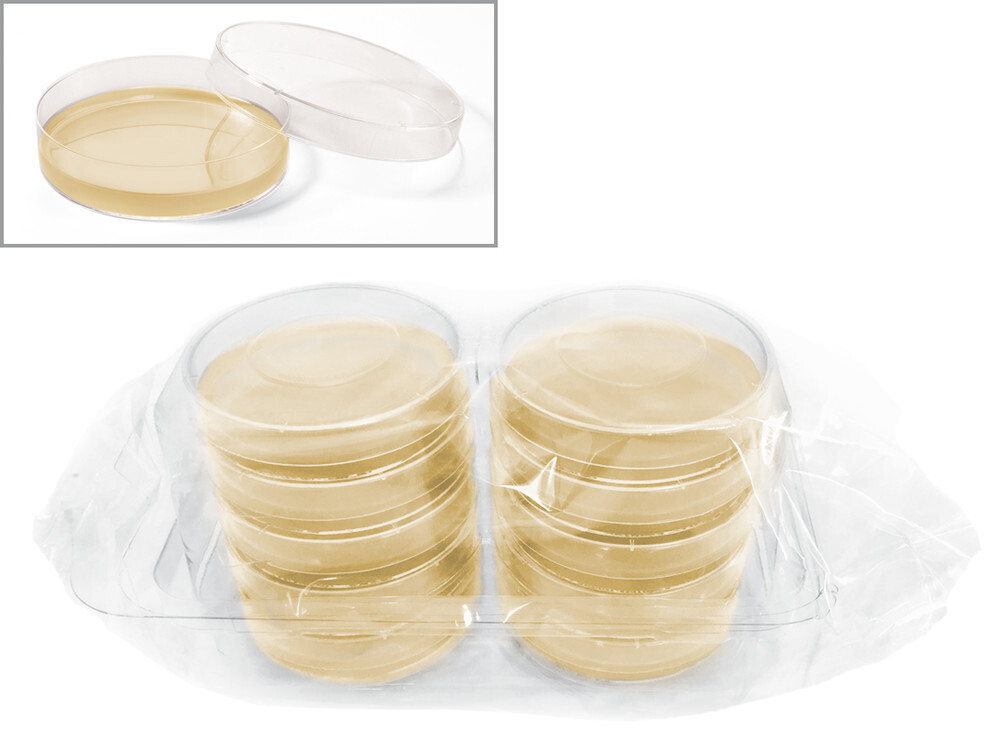 ROTI®Aquatest Plate YE