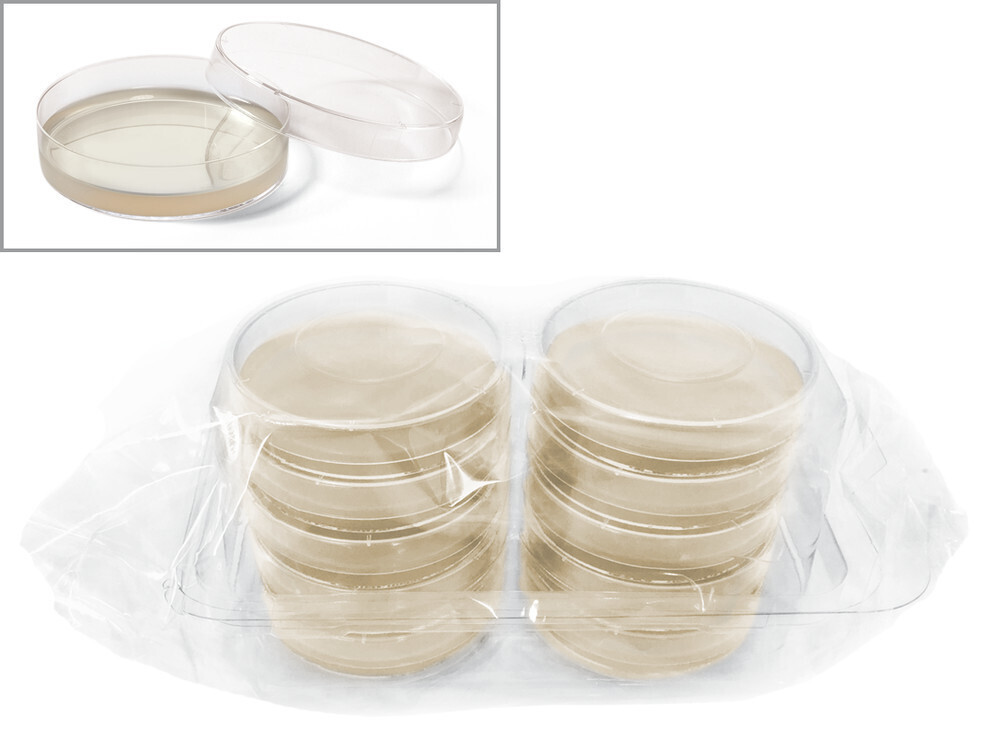 ROTI®Aquatest Plate R2A