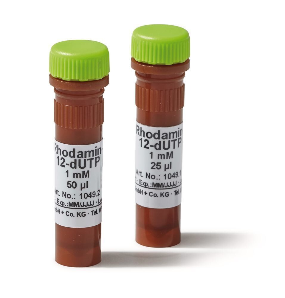Rhodamin-12-dUTP, 25 µl, 25 nmol