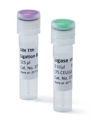 Ligase Tth, 50 µl