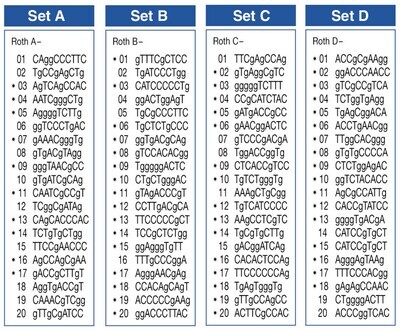 ROTH Random-Primer-Set D