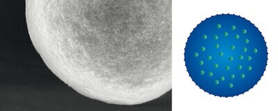 MagSi-ADN 3.0, 2 ml