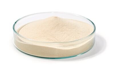 Agar con estratto di lievito, 500 g