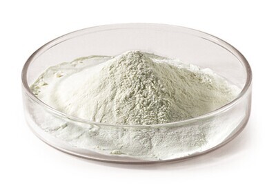 Kaseinhydrolysat, Standard, 500 g