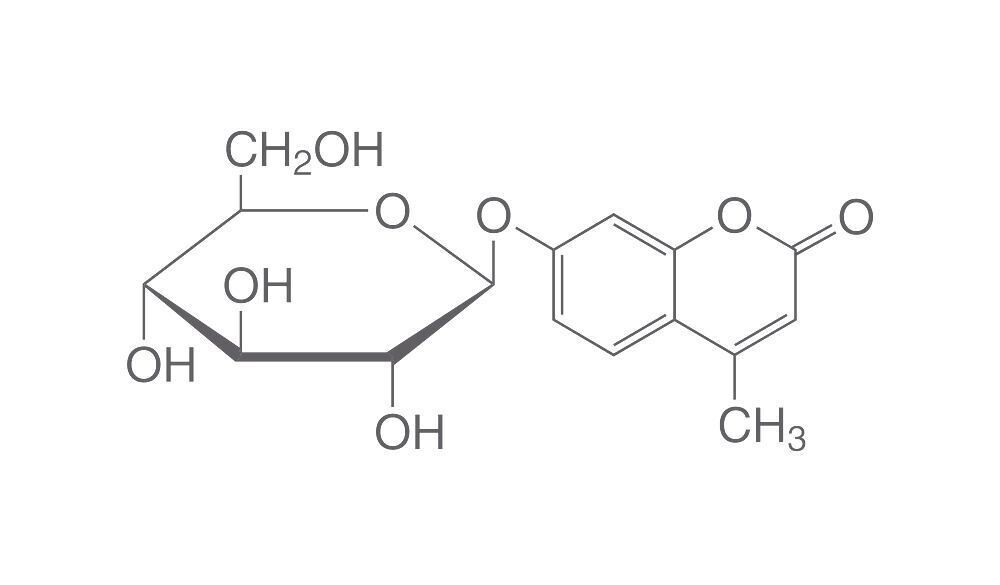 4-Methylumbelliferyl-β-D-glucopyranoside, 2.5 g