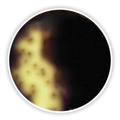 Gélose Oxford Listeria (base)