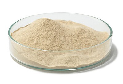 Agar nutriente (DEV), 5 kg