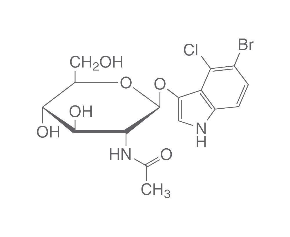 5-Bromo-4-chloro-3-indoxyl-N-acétyl-β-D-glucosaminide, 100 mg