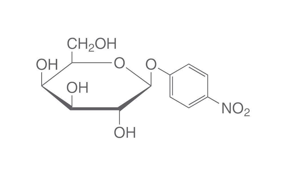 4-Nitrophenyl-β-D-galactopyranoside, 1 g
