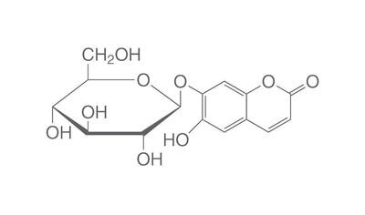 Esculina sesquihidrato, 100 g, plástico