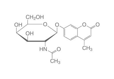 4-metilbelliferil-N-acetil-β-D-galattosaminide, 100 mg