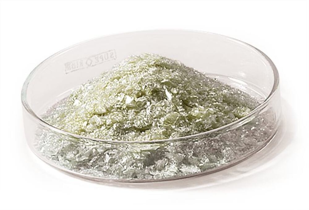 Albumina sierica bovina (BSA) frazione V, priva di IgG, origine NZ, 200 g
