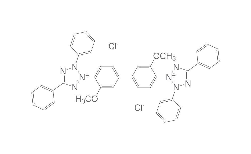 Tetrazolium blue chloride, 5 g