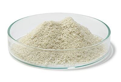 Albumina di siero bovino (BSA) Frazione V, priva di proteasi, Europa, 500 g