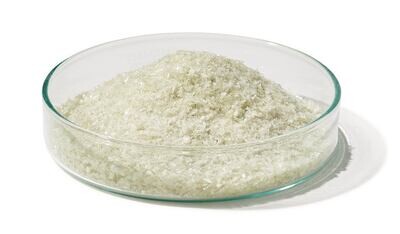 Albumina di siero bovino (BSA) frazione V, priva di proteasi, origine NZ, 500 g