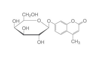 4-Methylumbelliferyl-β-D-galactopyranoside, 5 g