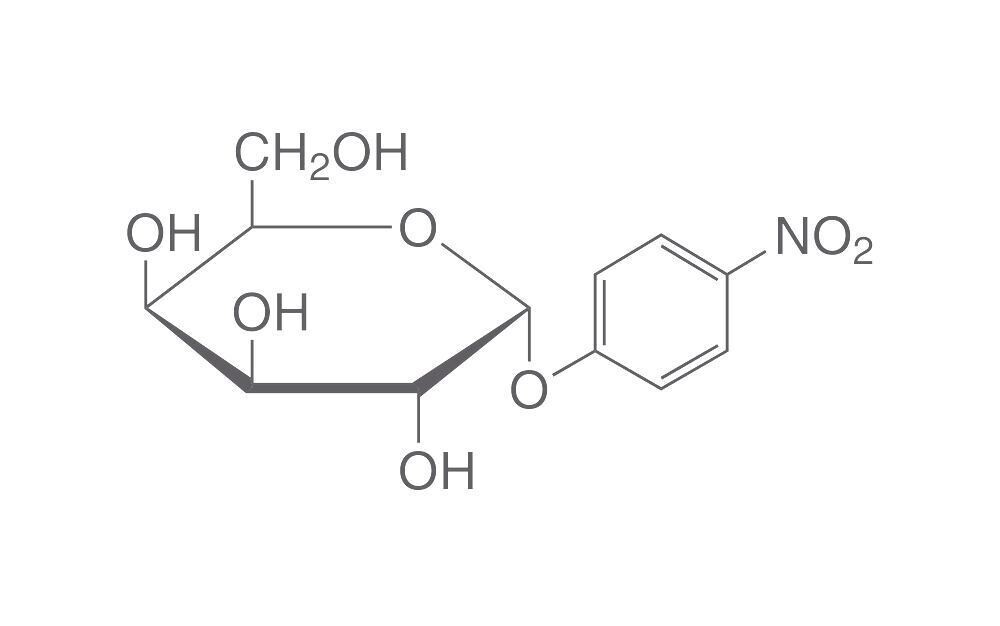 4-Nitrophenyl-α-D-galactopyranoside, 500 mg