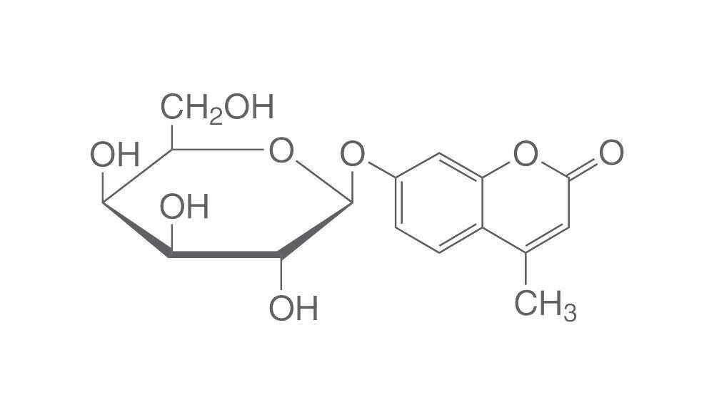 4-Methylumbelliferyl-β-D-galactopyranoside, 500 mg