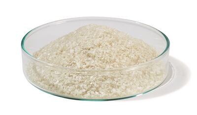 Albumina di siero bovino (BSA) Frazione V, Europa, 500 g